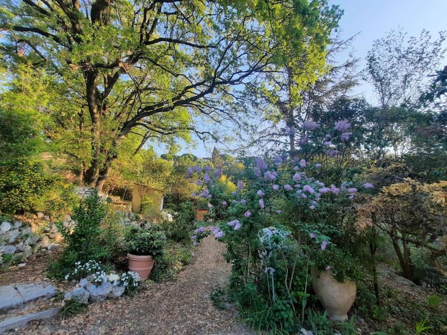 Domaine Des Petites Soeurs A 800M Du Centre Historique Avec 5200M2 De Parc Arbore Vence Exterior foto