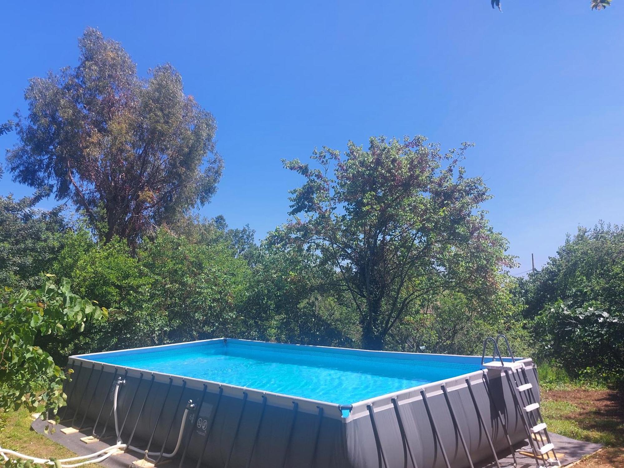 Domaine Des Petites Soeurs A 800M Du Centre Historique Avec 5200M2 De Parc Arbore Vence Habitación foto