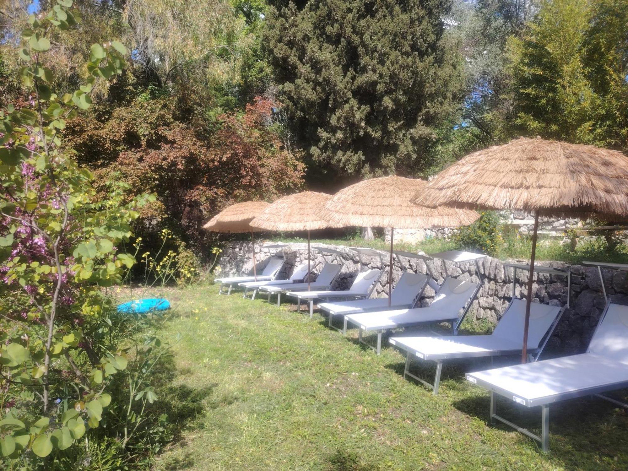 Domaine Des Petites Soeurs A 800M Du Centre Historique Avec 5200M2 De Parc Arbore Vence Exterior foto